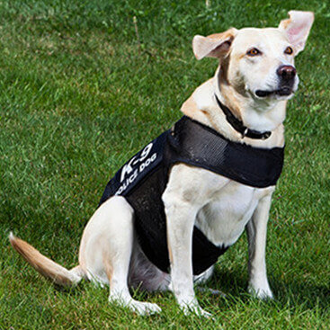 K9 & Police Officer Vests